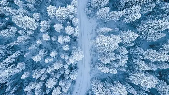 VENDRE EN HIVER : UNE STRATÉGIE GAGNANTE !